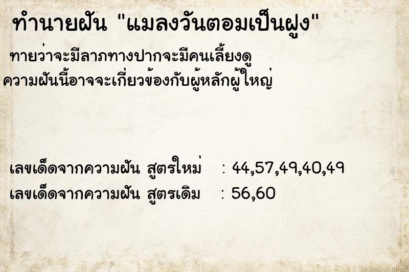 ทำนายฝันแมลงวันตอมเป็นฝูง ทำนายฝันทำนายฝันแมลงวันตอมเป็นฝูง