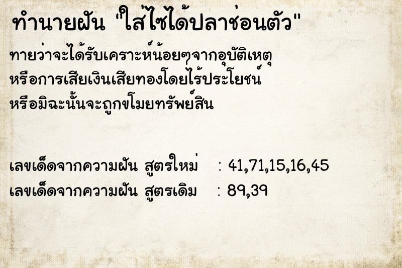 ทำนายฝันทำนายฝันใส่ไซได้ปลาช่อนตัว
