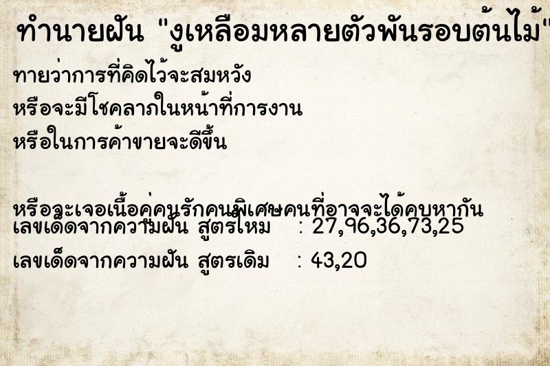 ทำนายฝันงูเหลือมหลายตัวพันรอบต้นไม้ ทำนายฝันทำนายฝันงูเหลือมหลายตัวพันรอบต้นไม้