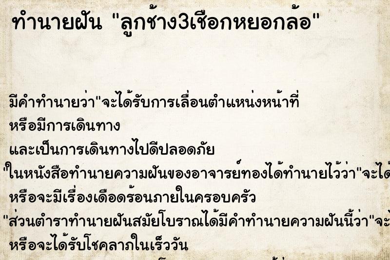 ทำนายฝันทำนายฝันลูกช้าง3เชือกหยอกล้อ