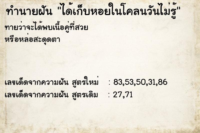 ทำนายฝันทำนายฝันได้เก็บหอยในโคลนวันไม่รู้