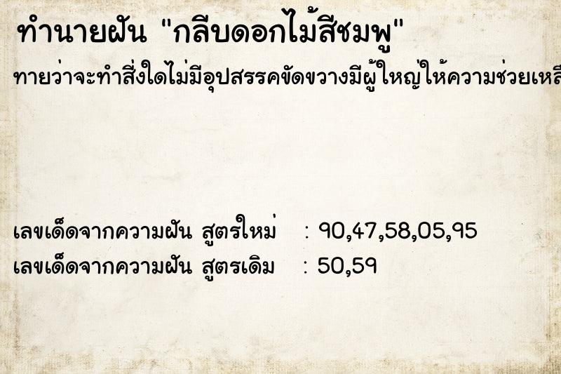 ทำนายฝัน กลีบดอกไม้สีชมพู ทำนายฝัน กลีบดอกไม้สีชมพู