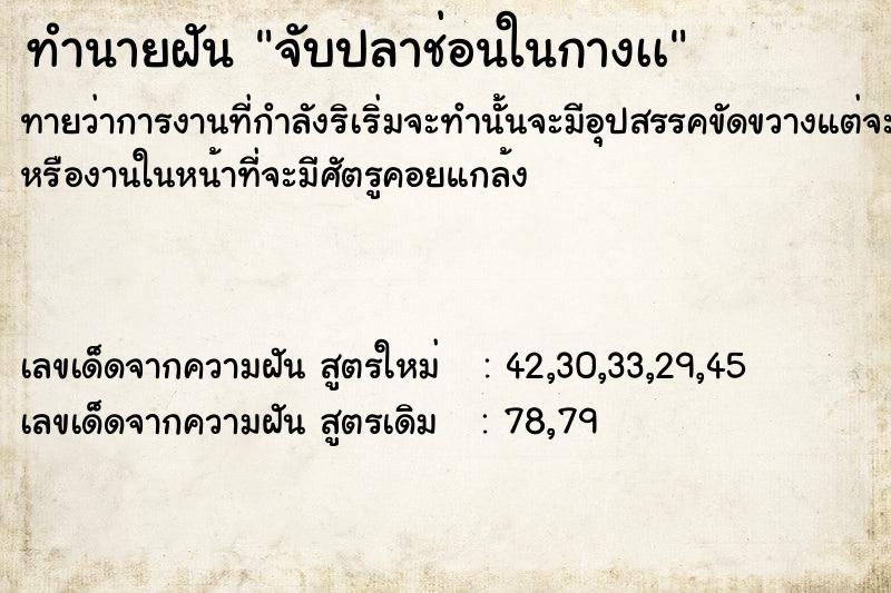 ทำนายฝันทำนายฝันจับปลาช่อนในกางเà