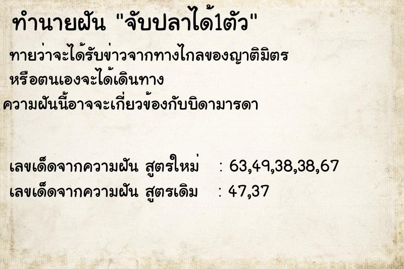 ทำนายฝัน จับปลาได้1ตัว ทำนายฝัน จับปลาได้1ตัว