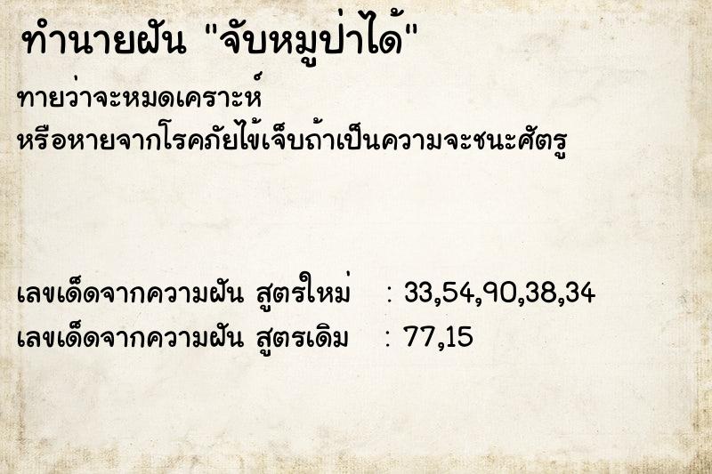 ทำนายฝันทำนายฝันจับหมูป่าได้