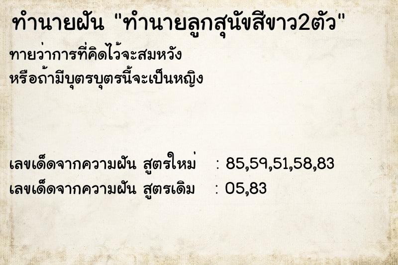 ทำนายฝันทำนายฝันทำนายลูกสุนัขสีขาว2ตัว