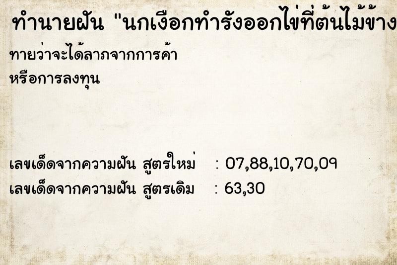 ทำนายฝันนกเงือกทำรังออกไข่ท่ีต้นไม้ข้างบ้าน ทำนายฝันทำนายฝันนกเงือกทำรังออกไข่ท่ีต้นไม้ข้างบ้าน
