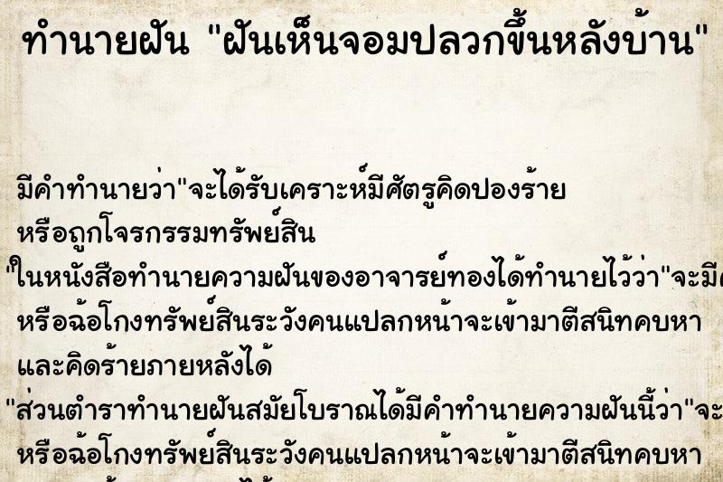 ทำนายฝันทำนายฝันฝันเห็นจอมปลวกขึ้นหลังบ้าน
