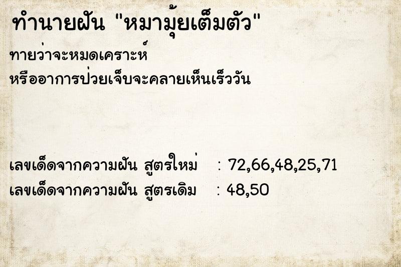 ทำนายฝันทำนายฝันหมามุ้ยเต็มตัว