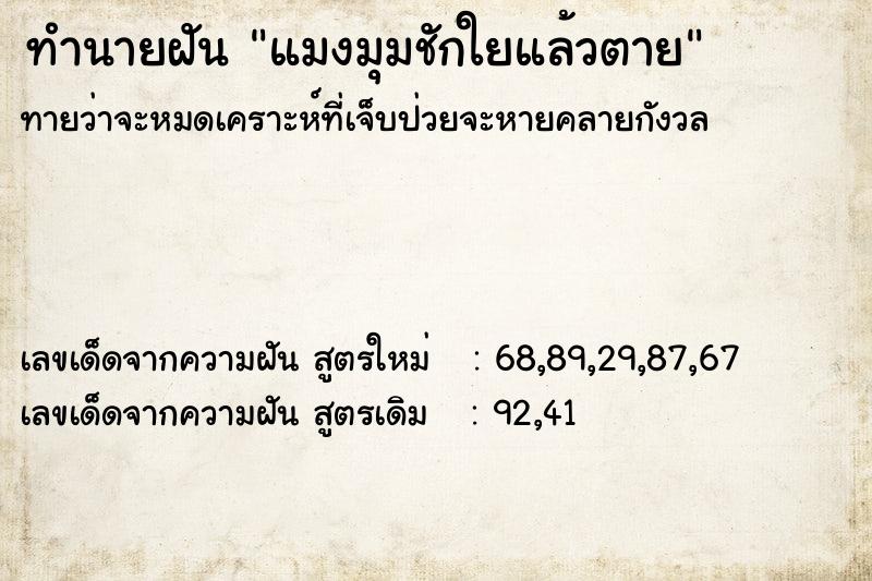 ทำนายฝัน แมงมุมชักใยแล้วตาย ทำนายฝัน แมงมุมชักใยแล้วตาย