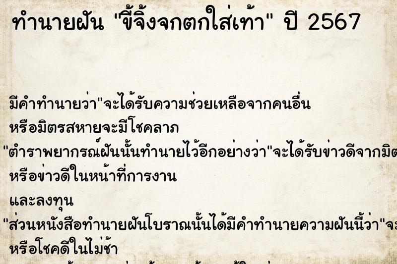 ทำนายฝัน ขี้จิ้งจกตกใส่เท้า ทำนายฝัน ขี้จิ้งจกตกใส่เท้า