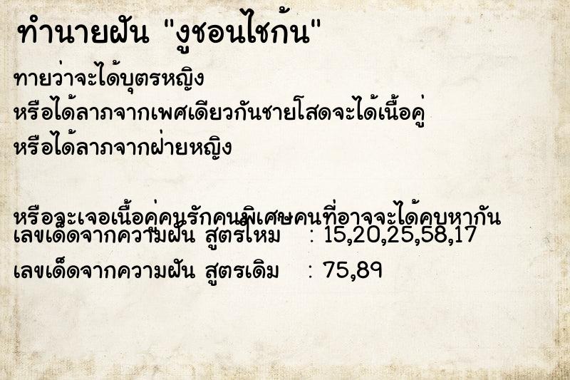 ทำนายฝันงูชอนไชก้น ทำนายฝันทำนายฝันงูชอนไชก้น