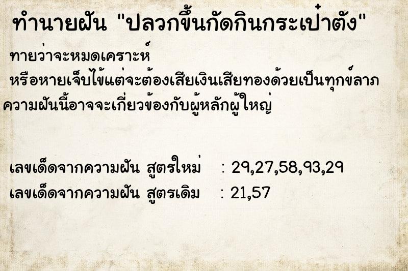 ทำนายฝัน ปลวกขึ้นกัดกินกระเป๋าตัง ทำนายฝัน ปลวกขึ้นกัดกินกระเป๋าตัง