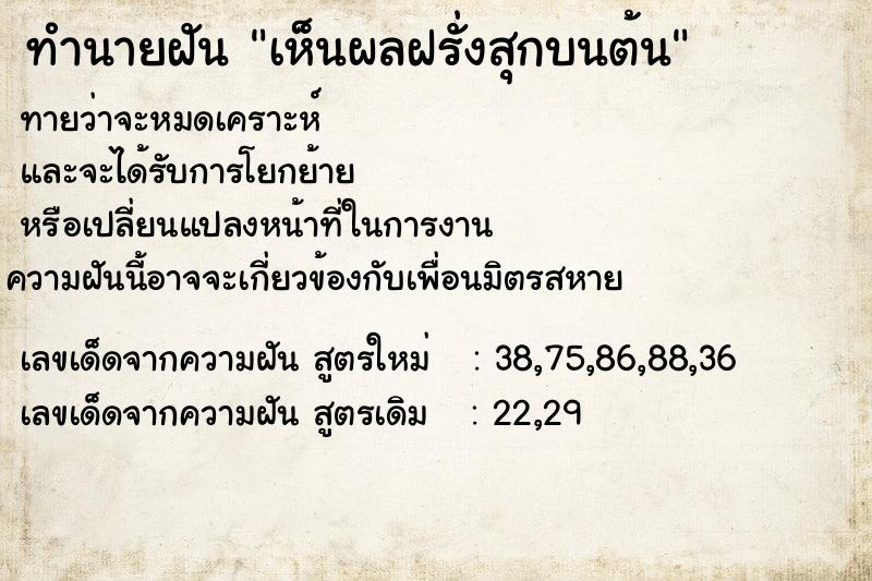ทำนายฝันทำนายฝันเห็นผลฝรั่งสุกบนต้น