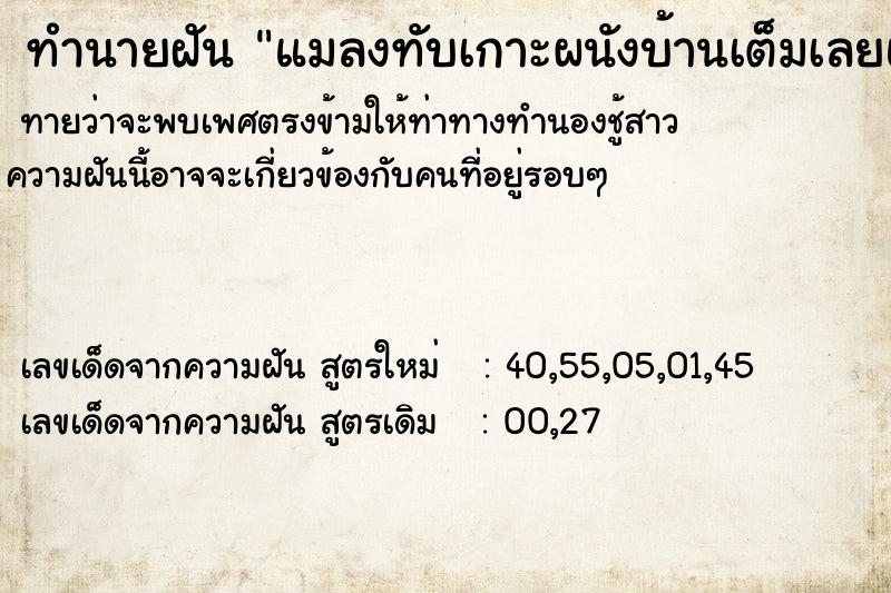 ทำนายฝันแมลงทับเกาะผนังบ้านเต็มเลยและก็มาเกาะเท้า1ตัว ทำนายฝันทำนายฝันแมลงทับเกาะผนังบ้านเต็มเลยและก็มาเกาะเท้า1ตัว