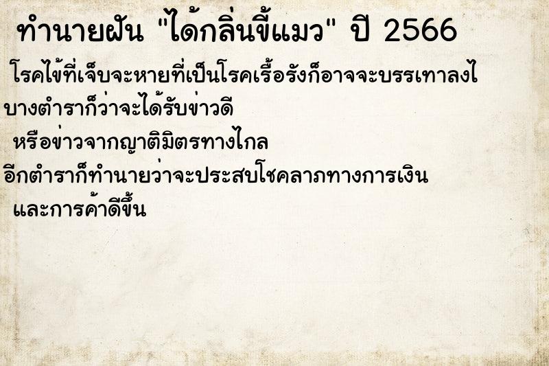 ทำนายฝันทำนายฝันได้กลิ่นขี้แมว