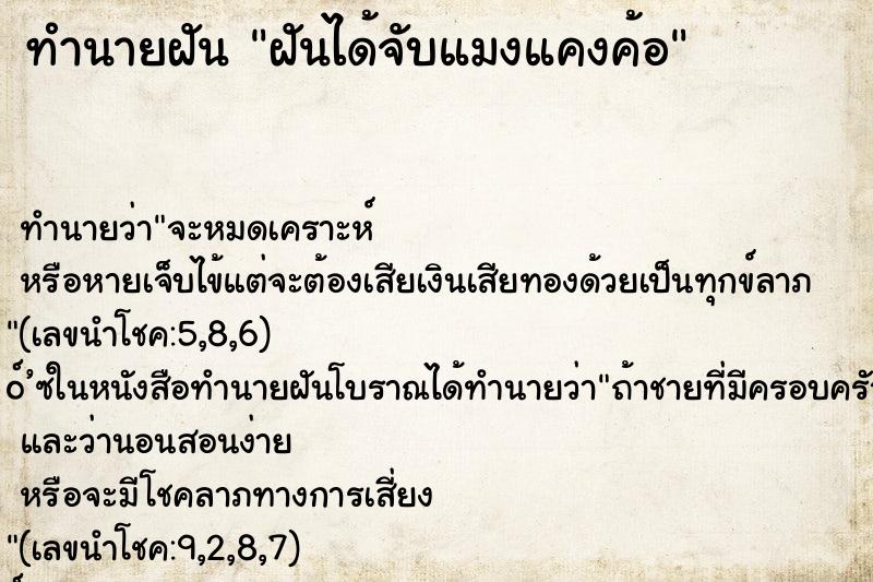 ทำนายฝันฝันได้จับแมงแคงค้อ ทำนายฝันทำนายฝันฝันได้จับแมงแคงค้อ