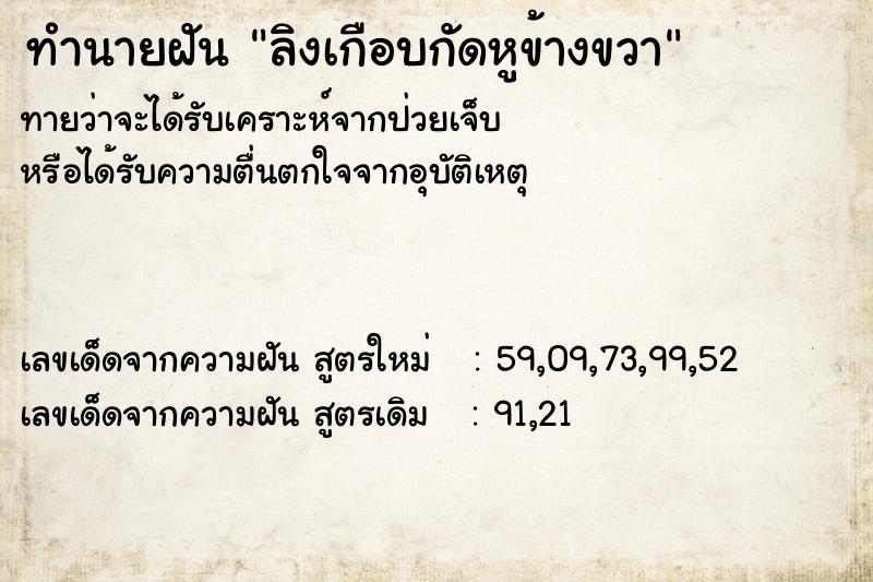 ทำนายฝันลิงเกือบกัดหูข้างขวา ทำนายฝันทำนายฝันลิงเกือบกัดหูข้างขวา