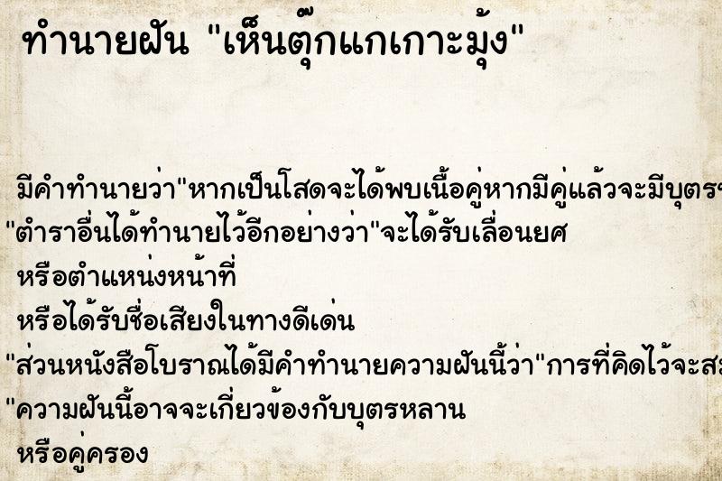 ทำนายฝันทำนายฝันเห็นตุ๊กแกเกาะมุ้ง