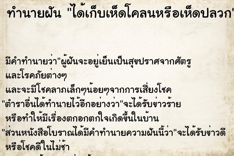 ทำนายฝัน ได้เก็บเห็ดโคลนหรือเห็ดปลวก ทำนายฝัน ได้เก็บเห็ดโคลนหรือเห็ดปลวก