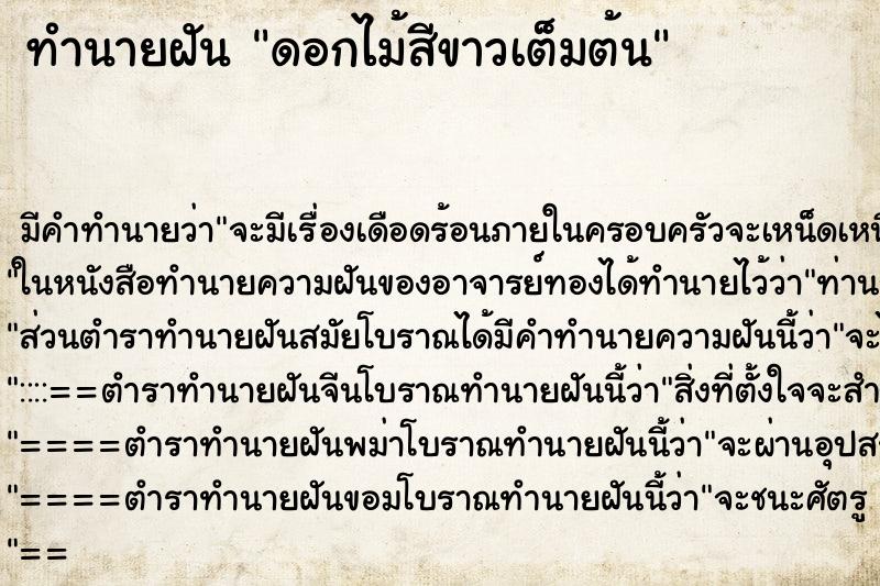 ทำนายฝันดอกไม้สีขาวเต็มต้น ทำนายฝันทำนายฝันดอกไม้สีขาวเต็มต้น