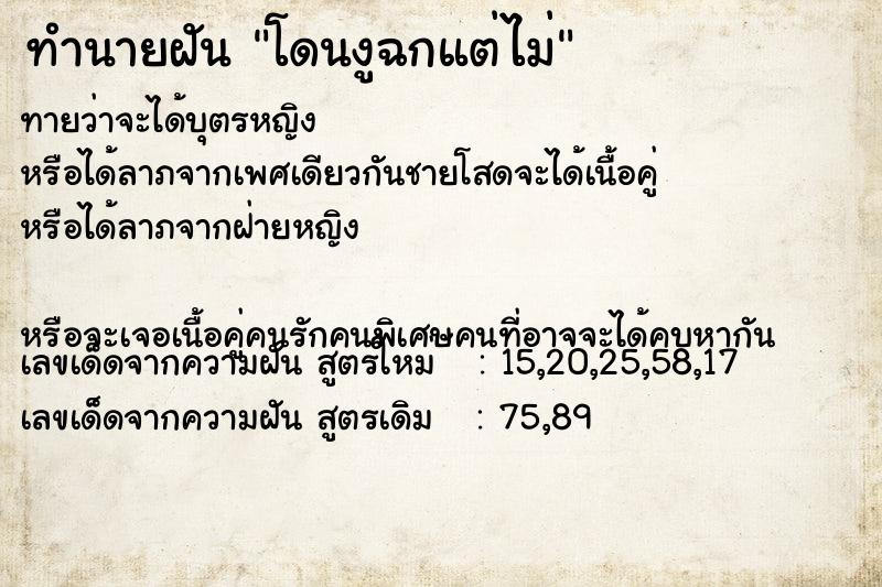 ทำนายฝันโดนงูฉกแต่ไม่ ทำนายฝันทำนายฝันโดนงูฉกแต่ไม่