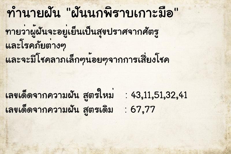 ทำนายฝัน ฝันนกพิราบเกาะมือ ทำนายฝัน ฝันนกพิราบเกาะมือ