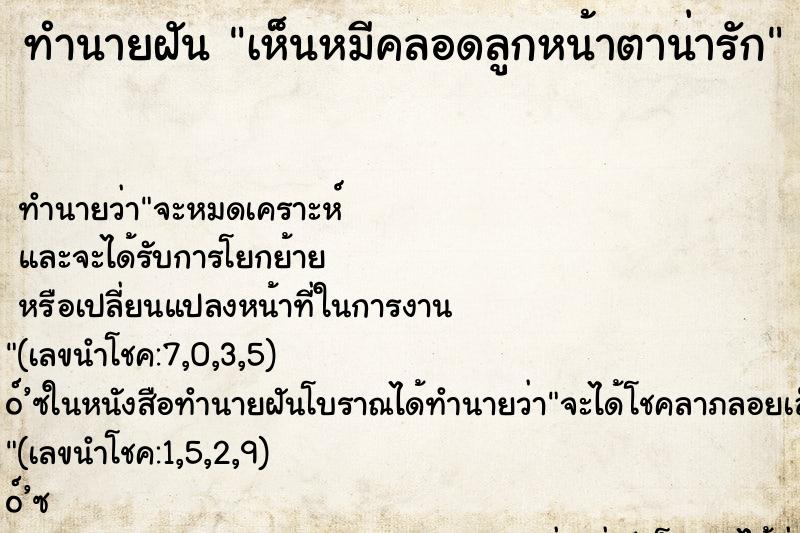 ทำนายฝันทำนายฝันเห็นหมีคลอดลูกหน้าตาน่ารัก