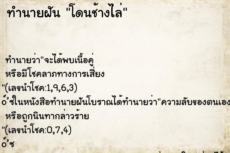 ทำนายฝันทำนายฝันโดนช้างไล่