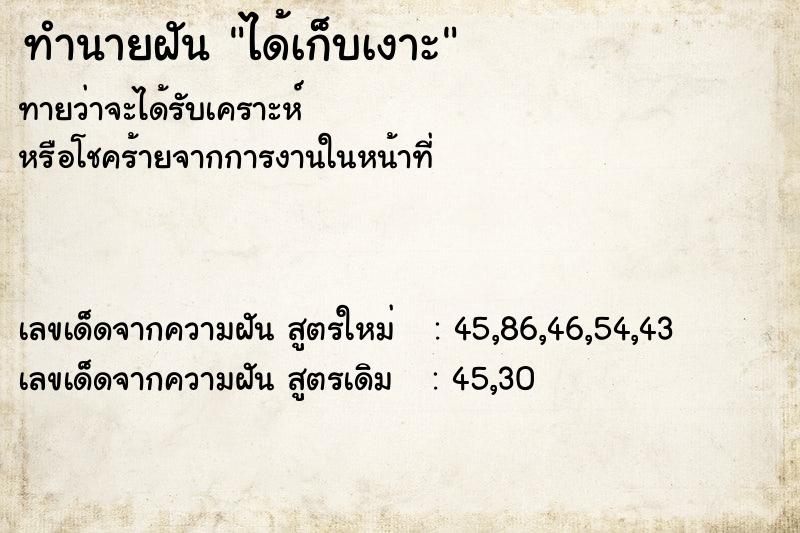 ทำนายฝันทำนายฝันได้เก็บเงาะ