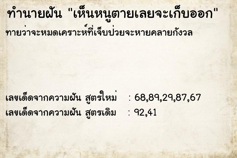 ทำนายฝันเห็นหนูตายเลยจะเก็บออก ทำนายฝันทำนายฝันเห็นหนูตายเลยจะเก็บออก