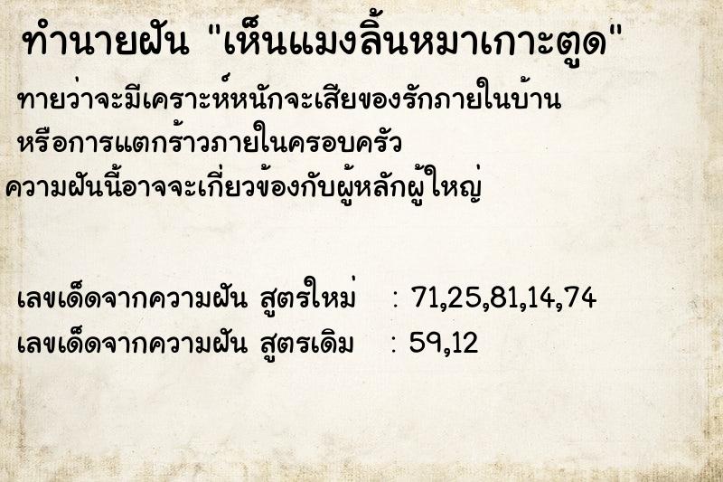 ทำนายฝันเห็นแมงลิ้นหมาเกาะตูด ทำนายฝันทำนายฝันเห็นแมงลิ้นหมาเกาะตูด