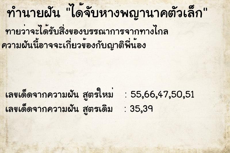 ทำนายฝันทำนายฝันได้จับหางพญานาคตัวเล็ก
