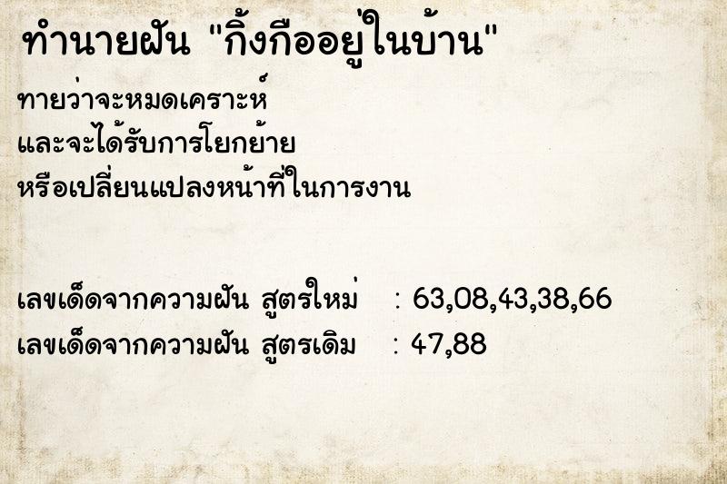 ทำนายฝันทำนายฝันกิ้งกืออยู่ในบ้าน