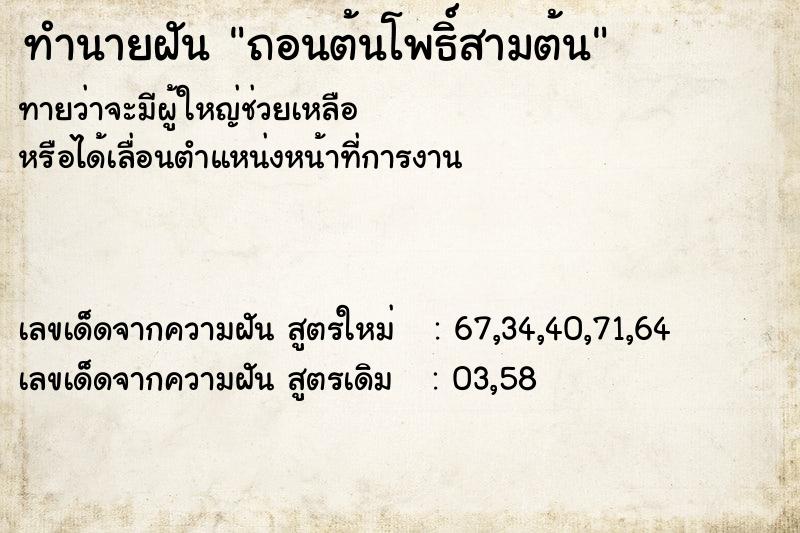 ทำนายฝันถอนต้นโพธิ์สามต้น ทำนายฝันทำนายฝันถอนต้นโพธิ์สามต้น