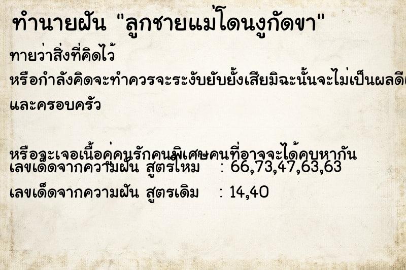 ทำนายฝันลูกชายแม่โดนงูกัดขา ทำนายฝันทำนายฝันลูกชายแม่โดนงูกัดขา
