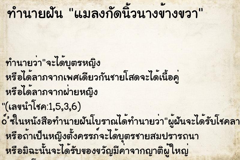 ทำนายฝันทำนายฝันแมลงกัดนิ้วนางข้างขวา