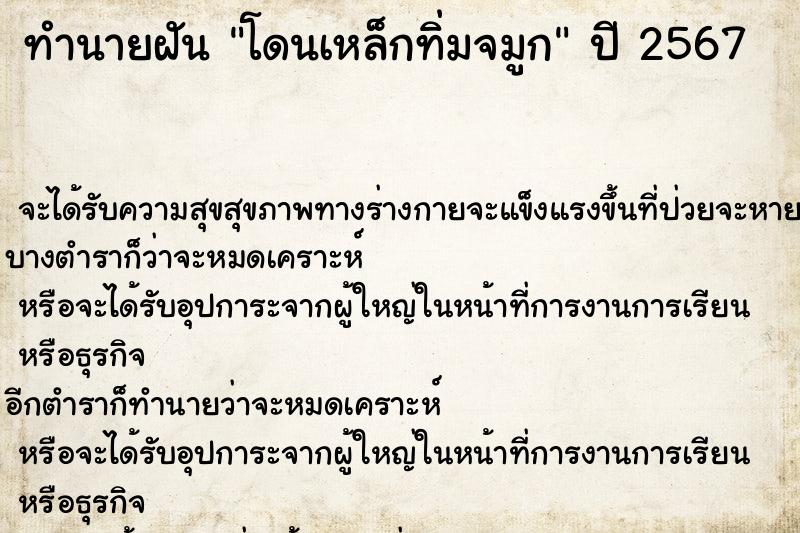ทำนายฝัน โดนเหล็กทิ่มจมูก ทำนายฝัน โดนเหล็กทิ่มจมูก