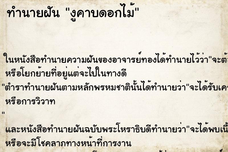 ทำนายฝัน งูคาบดอกไม้ ทำนายฝัน งูคาบดอกไม้