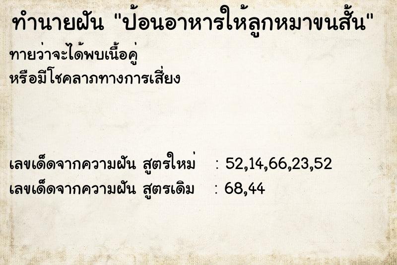 ทำนายฝันป้อนอาหารให้ลูกหมาขนสั้น ทำนายฝันทำนายฝันป้อนอาหารให้ลูกหมาขนสั้น