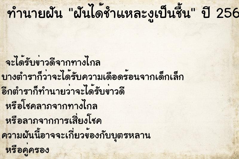 ทำนายฝันฝันได้ชำแหละงูเป็นชื้น ทำนายฝันทำนายฝันฝันได้ชำแหละงูเป็นชื้น