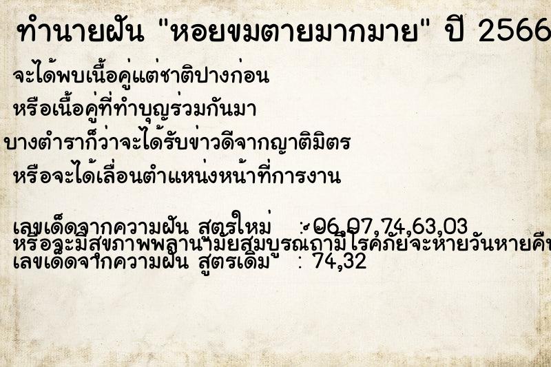 ทำนายฝัน หอยขมตายมากมาย ทำนายฝัน หอยขมตายมากมาย