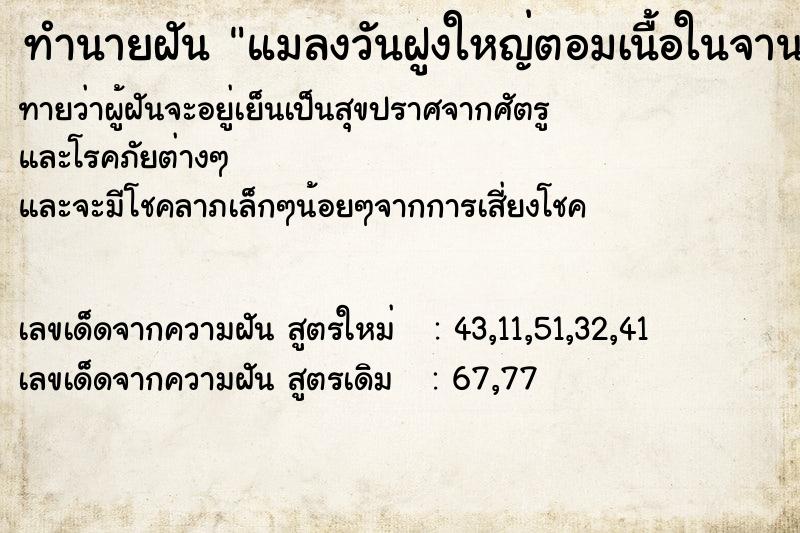 ทำนายฝัน แมลงวันฝูงใหญ่ตอมเนื้อในจาน ทำนายฝัน แมลงวันฝูงใหญ่ตอมเนื้อในจาน