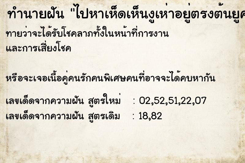 ทำนายฝันทำนายฝันไปหาเห็ดเห็นงูเห่าอยู่ตรงต้นยูคา