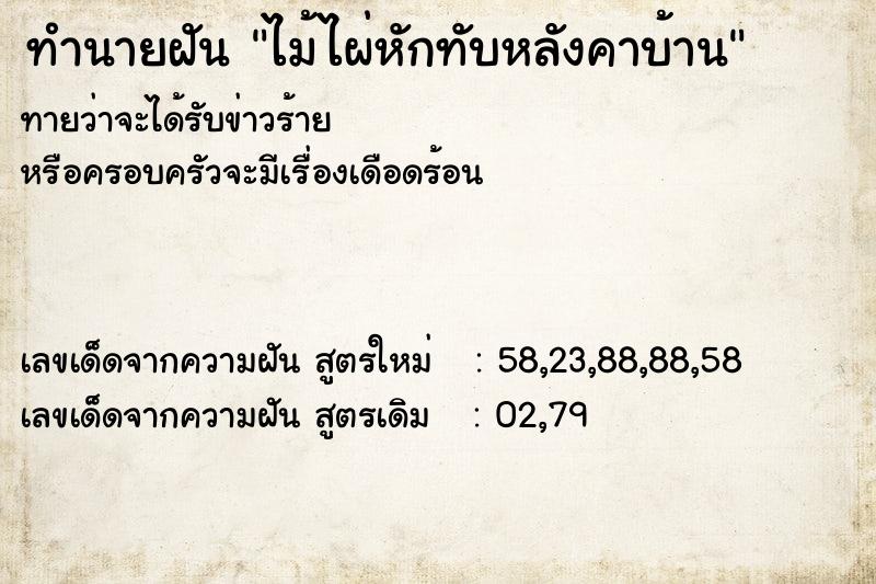 ทำนายฝันทำนายฝันไม้ไผ่หักทับหลังคาบ้าน