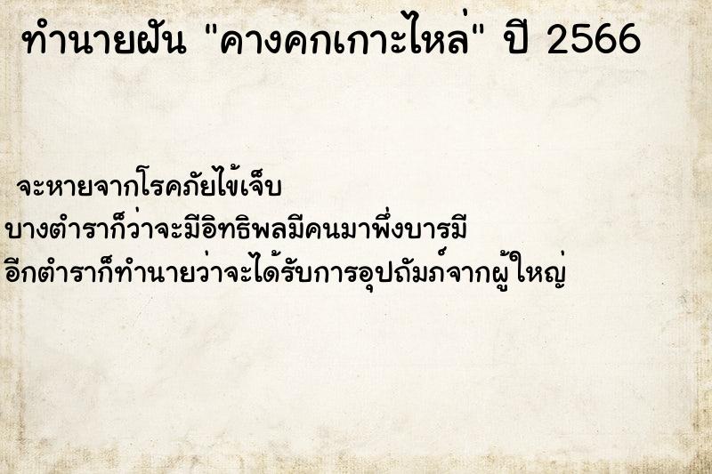 ทำนายฝัน คางคกเกาะไหล่ ตำราโบราณ แม่นที่สุดในโลก