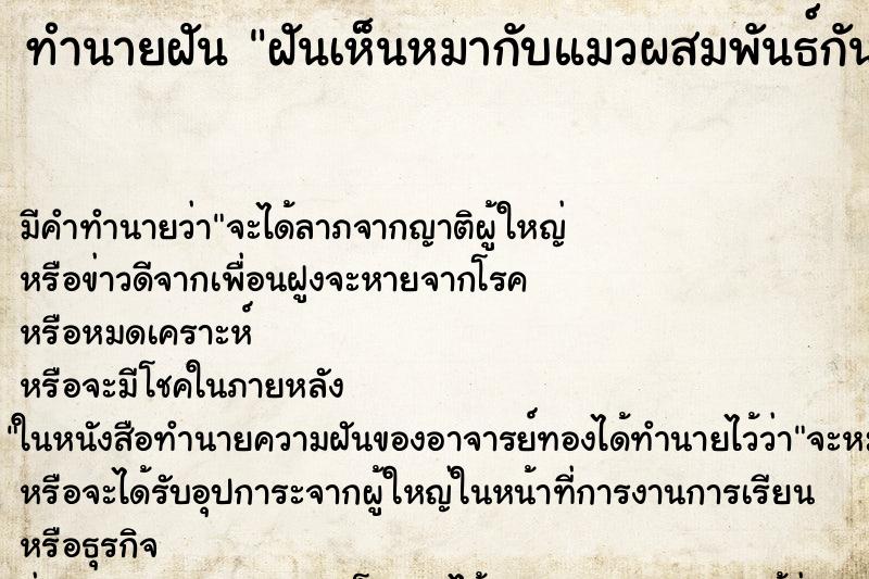 ทำนายฝัน ฝันเห็นหมากับแมวผสมพันธ์กัน ทำนายฝัน ฝันเห็นหมากับแมวผสมพันธ์กัน