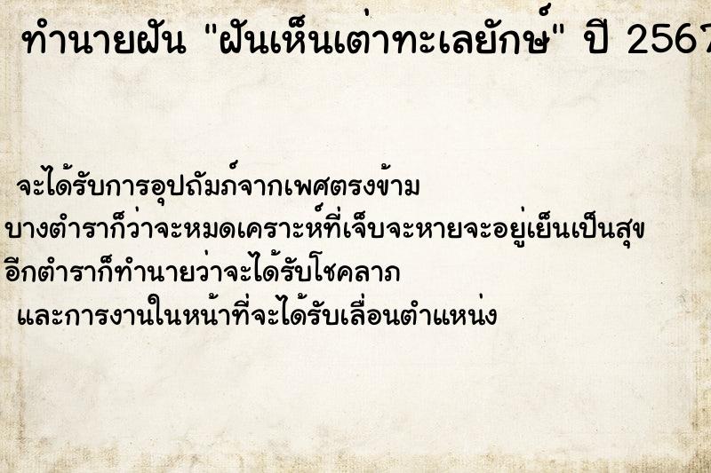 ทำนายฝันทำนายฝันฝันเห็นเต่าทะเลยักษ์