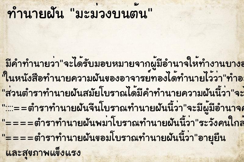 ทำนายฝันทำนายฝันมะม่วงบนต้น