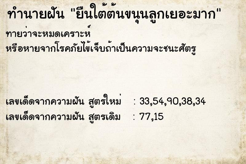 ทำนายฝัน ยืนใต้ต้นขนุนลูกเยอะมาก ทำนายฝัน ยืนใต้ต้นขนุนลูกเยอะมาก